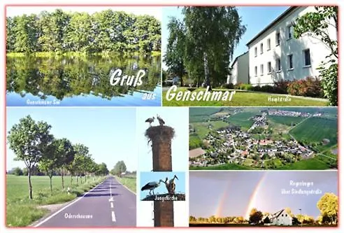 Jeamais בית הארחה *